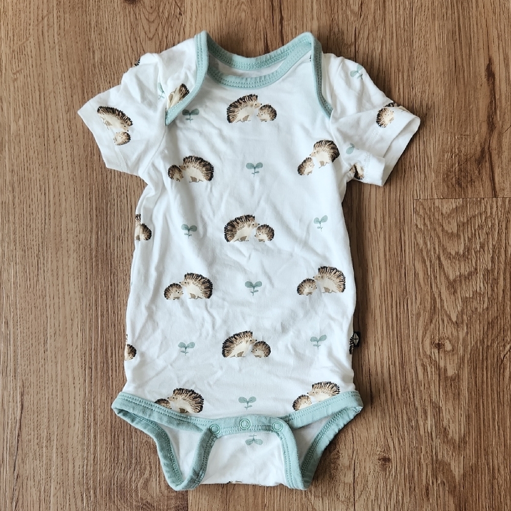 Kyte Baby 0-3 months Bodysuit in Hedgehog (Retired)